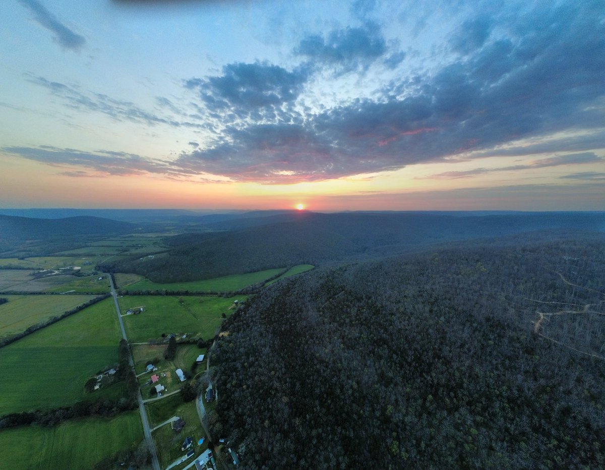 Daniel Harbin tweet media