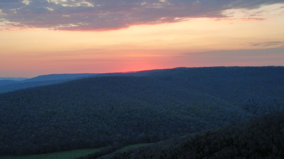 Daniel Harbin tweet media