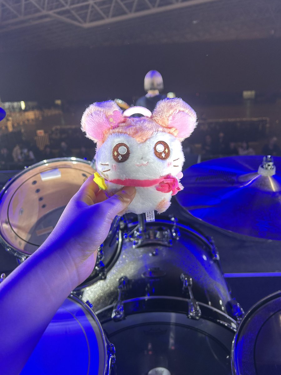 まゆ ハク。 tweet media