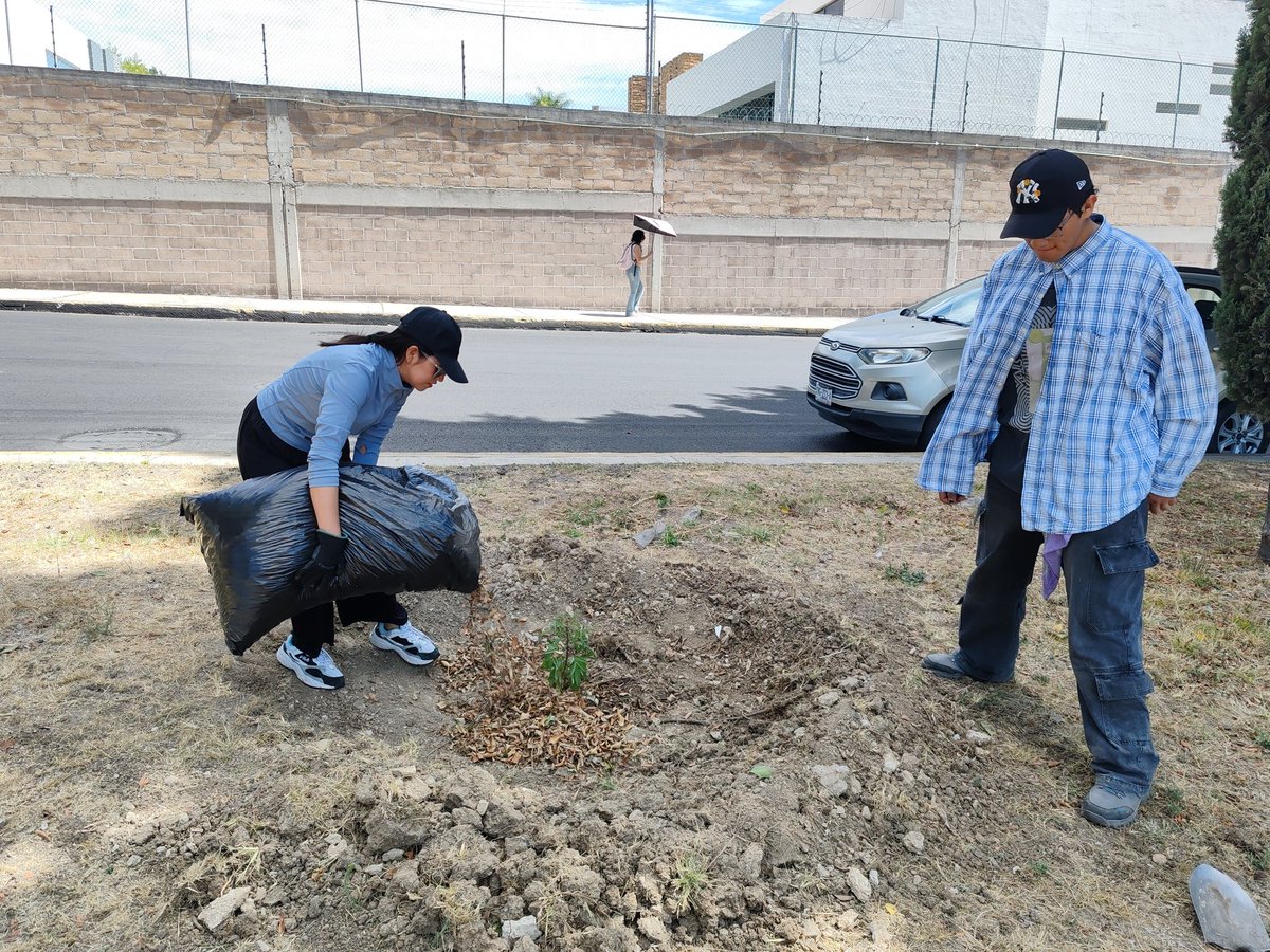 arboles_puebla's tweet photo. Jornada de trabajo en torno al #AhuehuetedeCumulodeVirgo.
Se aplicó riego, realizaron cajetes, se colocó acolchado, se realizó el canal para conducir escorrentía al ahuehuetito, se recogió basura y se elevó la parte más baja de el borde del Ahuehuete para contener agua pluvial. https://t.co/KTAO3Tjh2J
