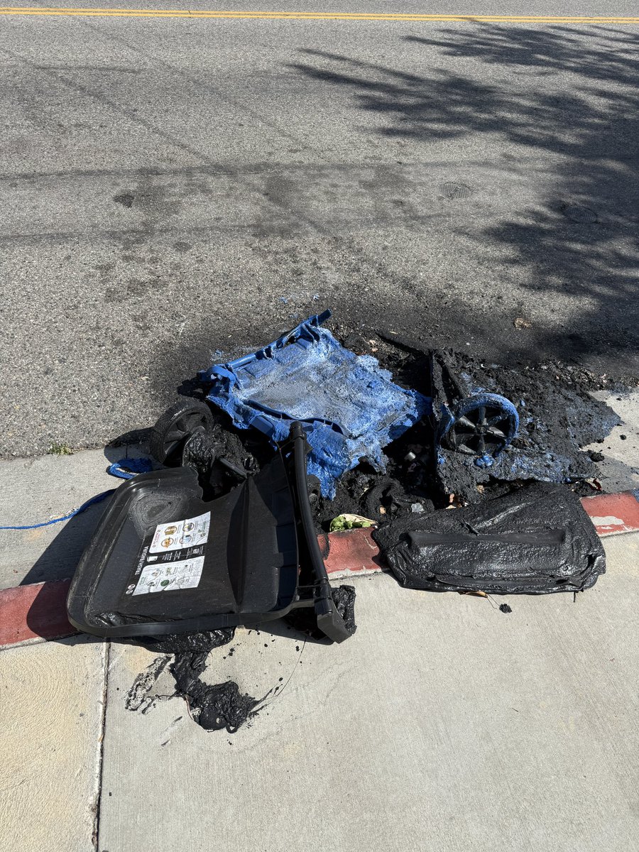 Ray 🍄 tweet media