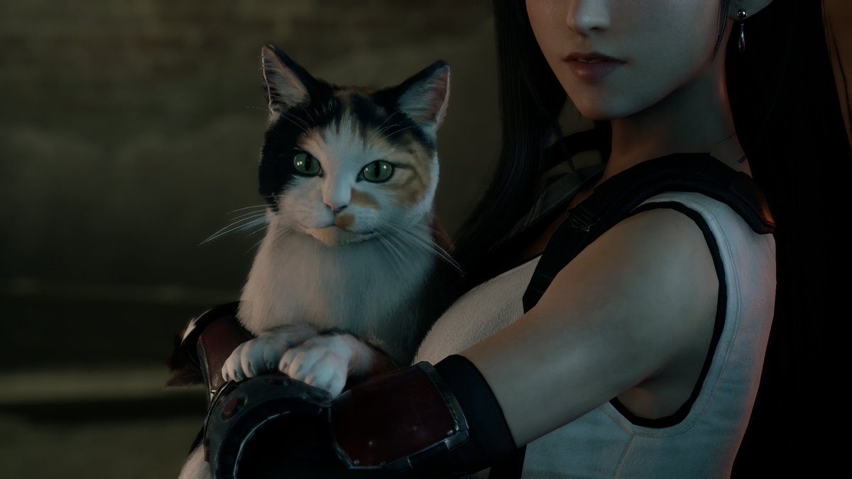 Jesse M. tweet media