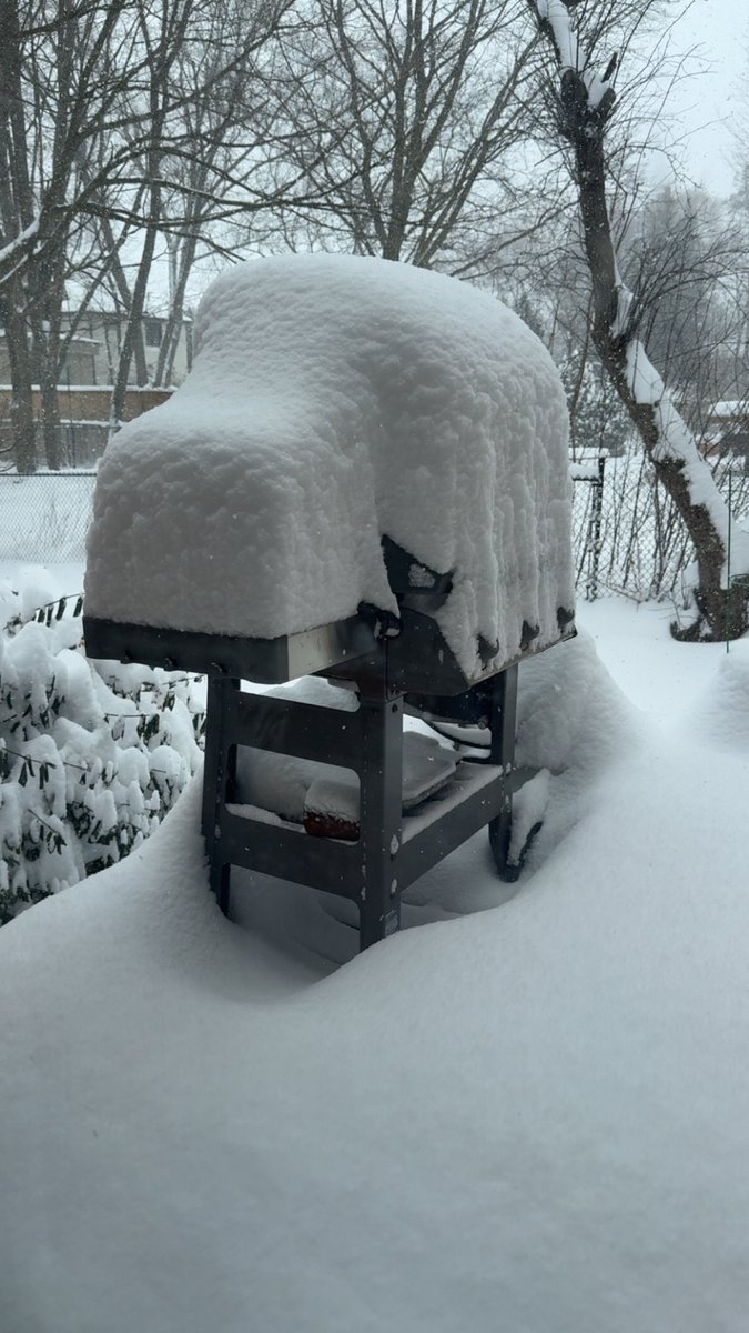 Terri Boake TL77🇨🇦 tweet media