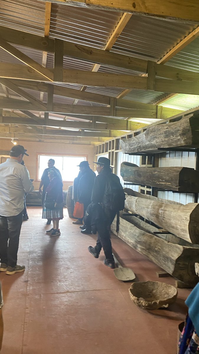 Isla Llepo/Lago Budi/araucania tweet media