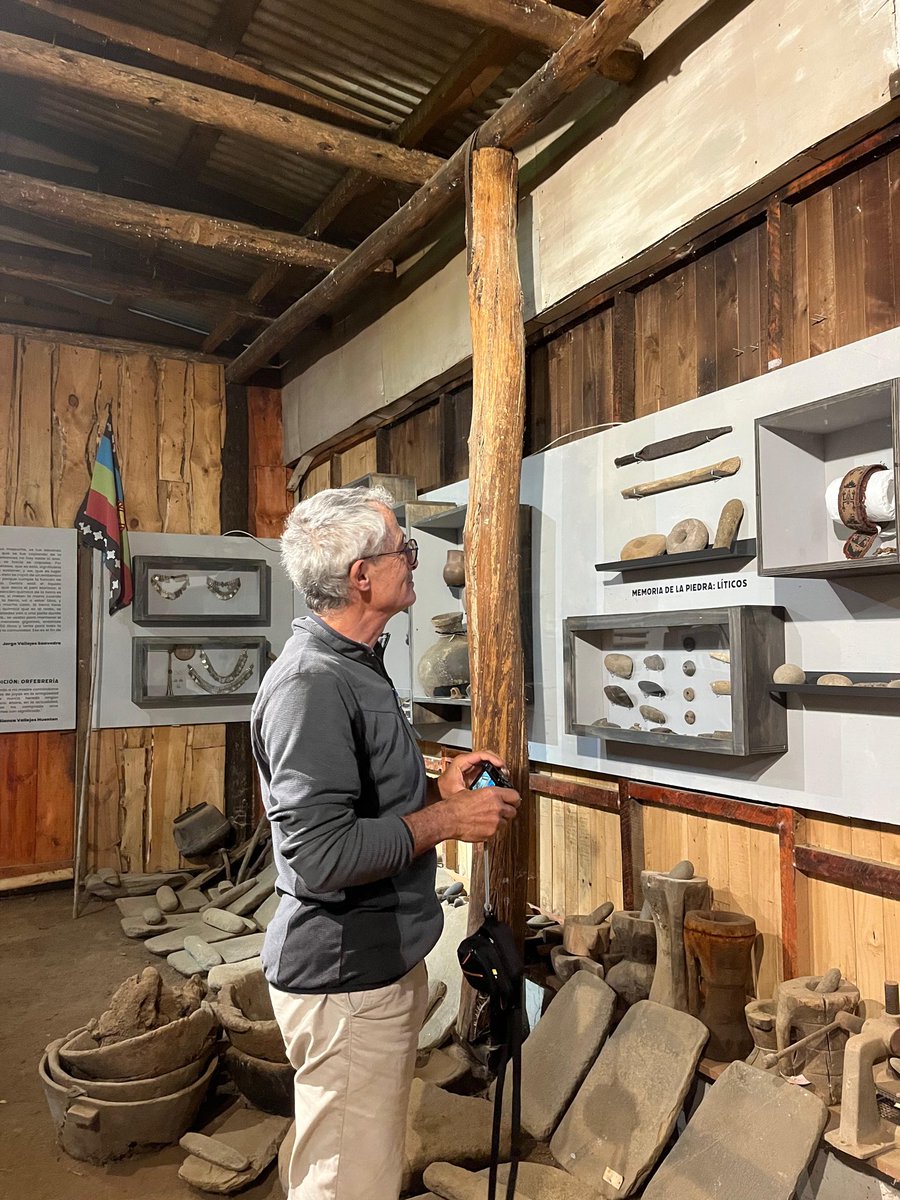 Isla Llepo/Lago Budi/araucania tweet media