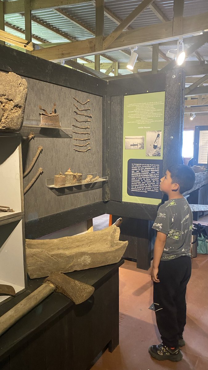 Isla Llepo/Lago Budi/araucania tweet media