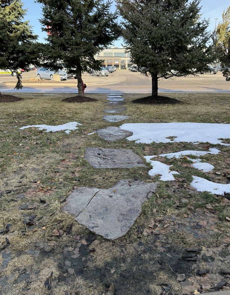 Edina Civic Observer tweet media