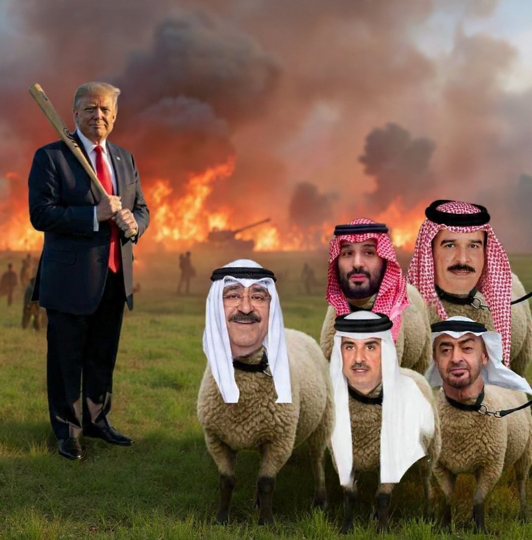 🇮🇶92 tweet media