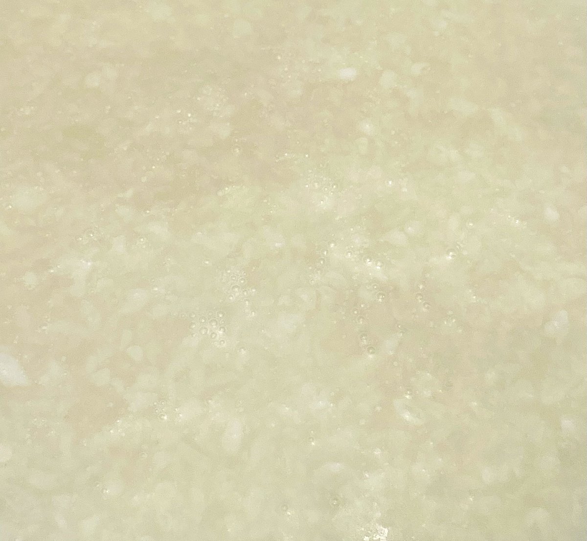 SENDAI STATION BREWERY Fermenteria（ファーメンテリア） tweet media