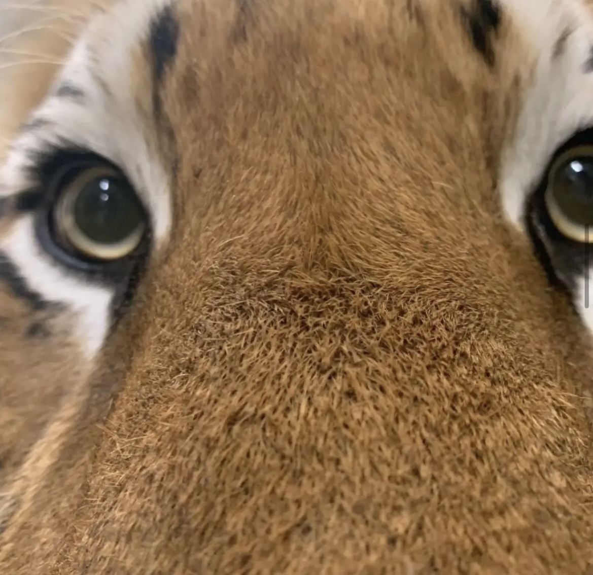 goheebeom🔜퍼클 tweet media