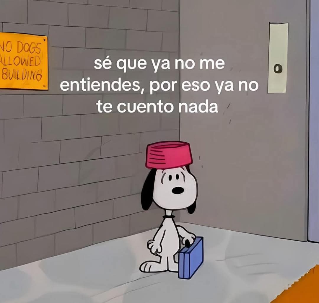 En Júpiter (@en_jupiter_) on Twitter photo 