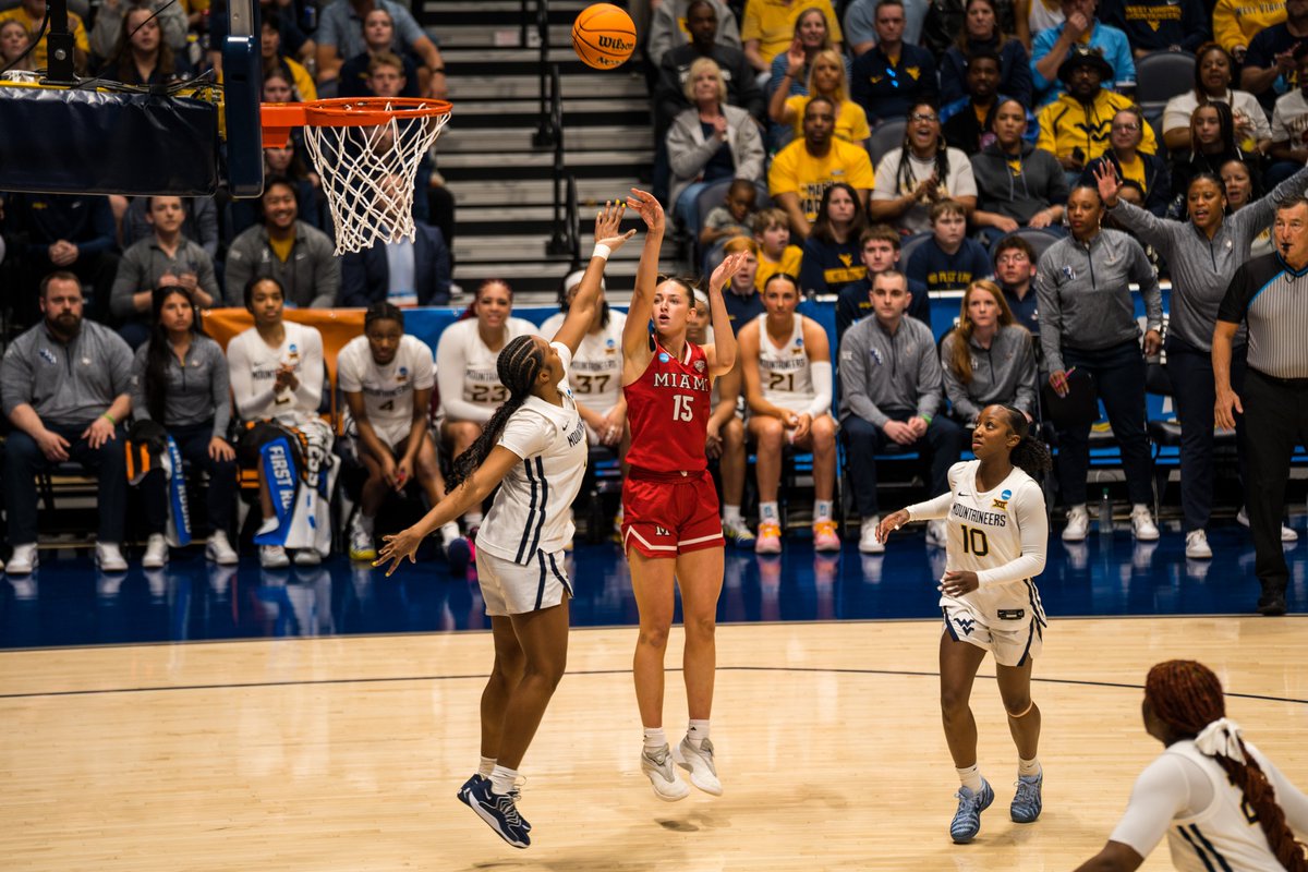 Tim Cary tweet media