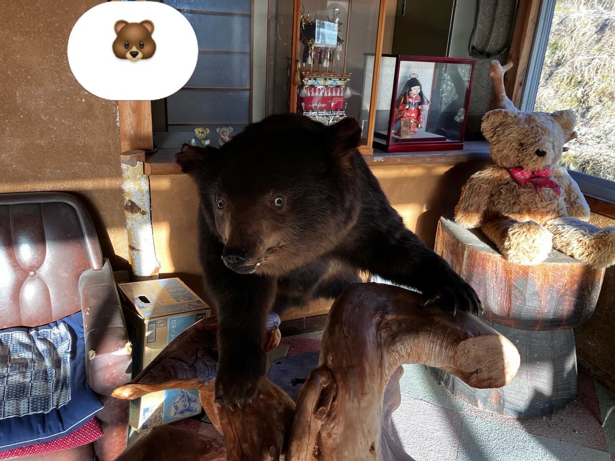 すないぬ tweet media