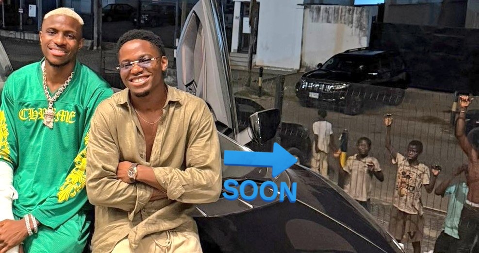 PorcupinePiercing tweet media