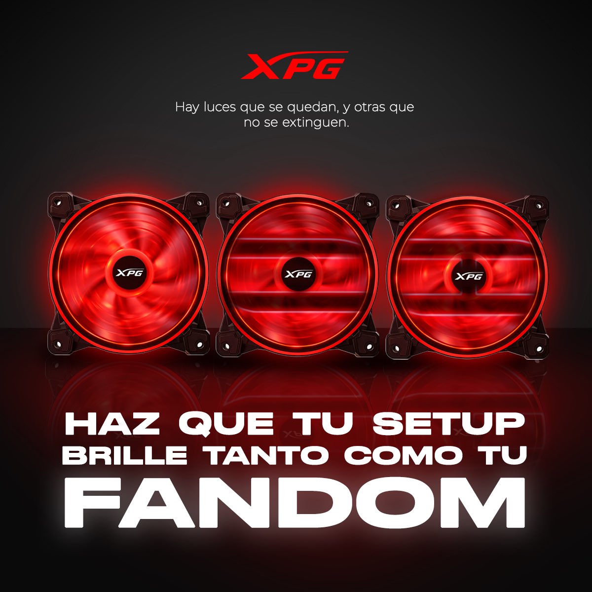 XPG México tweet media