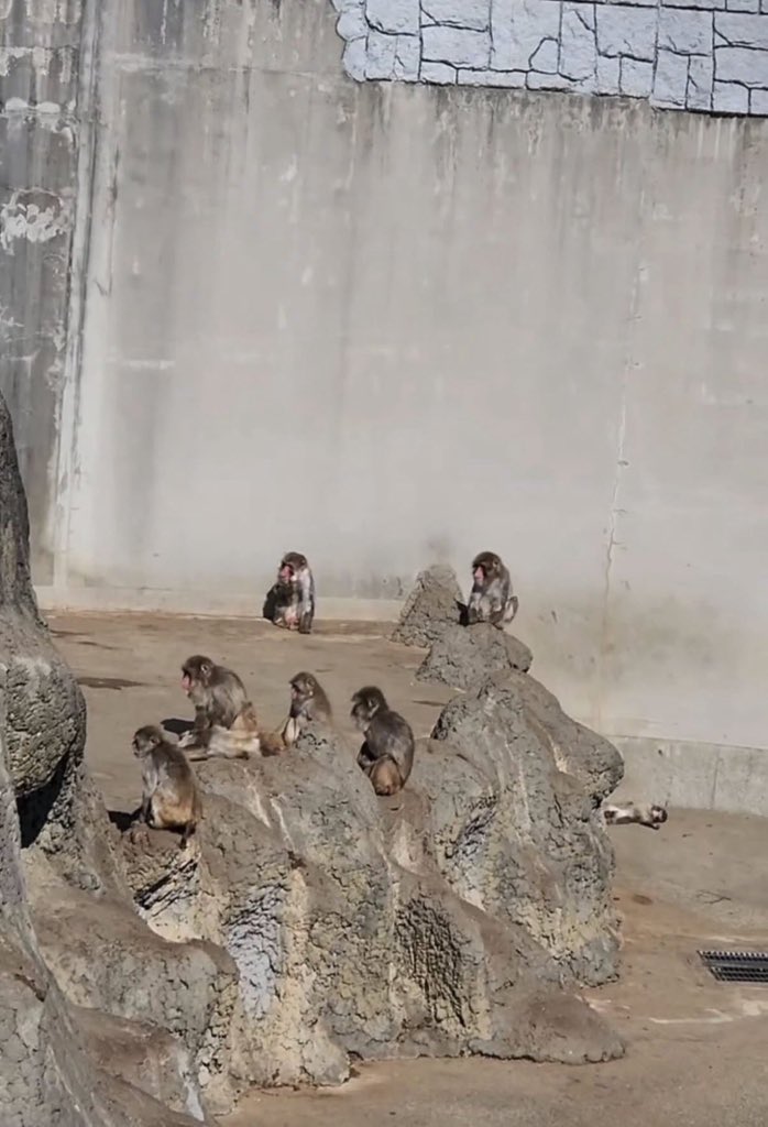 I'm Okay ⌘ tweet media