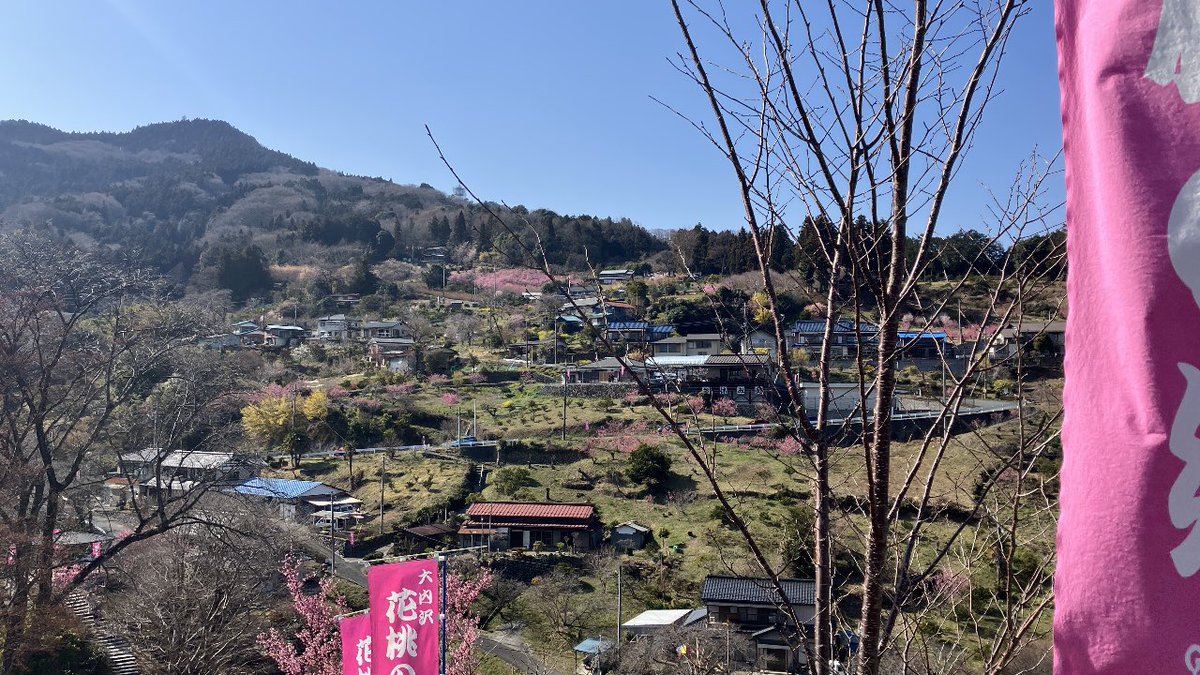 森のくまさん tweet media