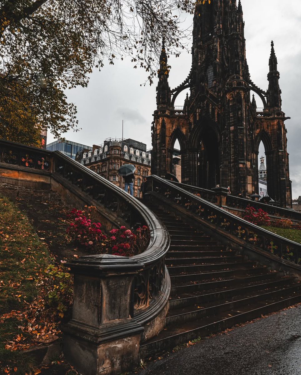 Wander Aesthetic tweet media