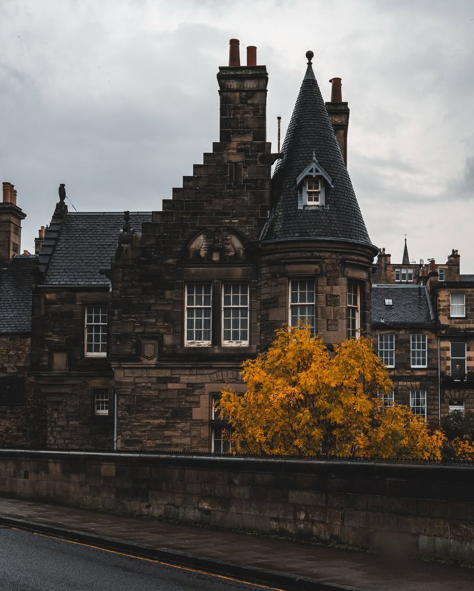 Wander Aesthetic tweet media