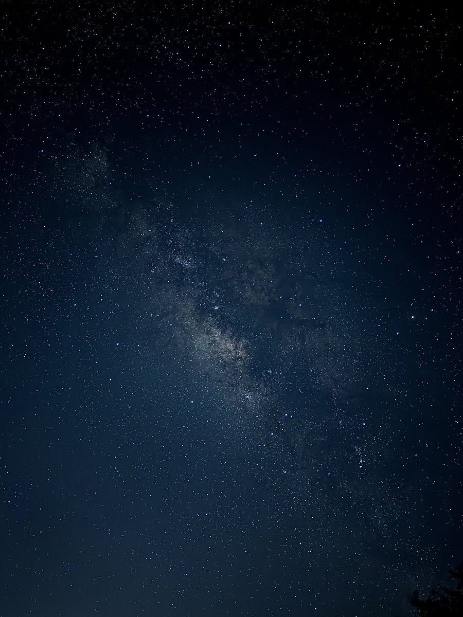 apricity tweet media