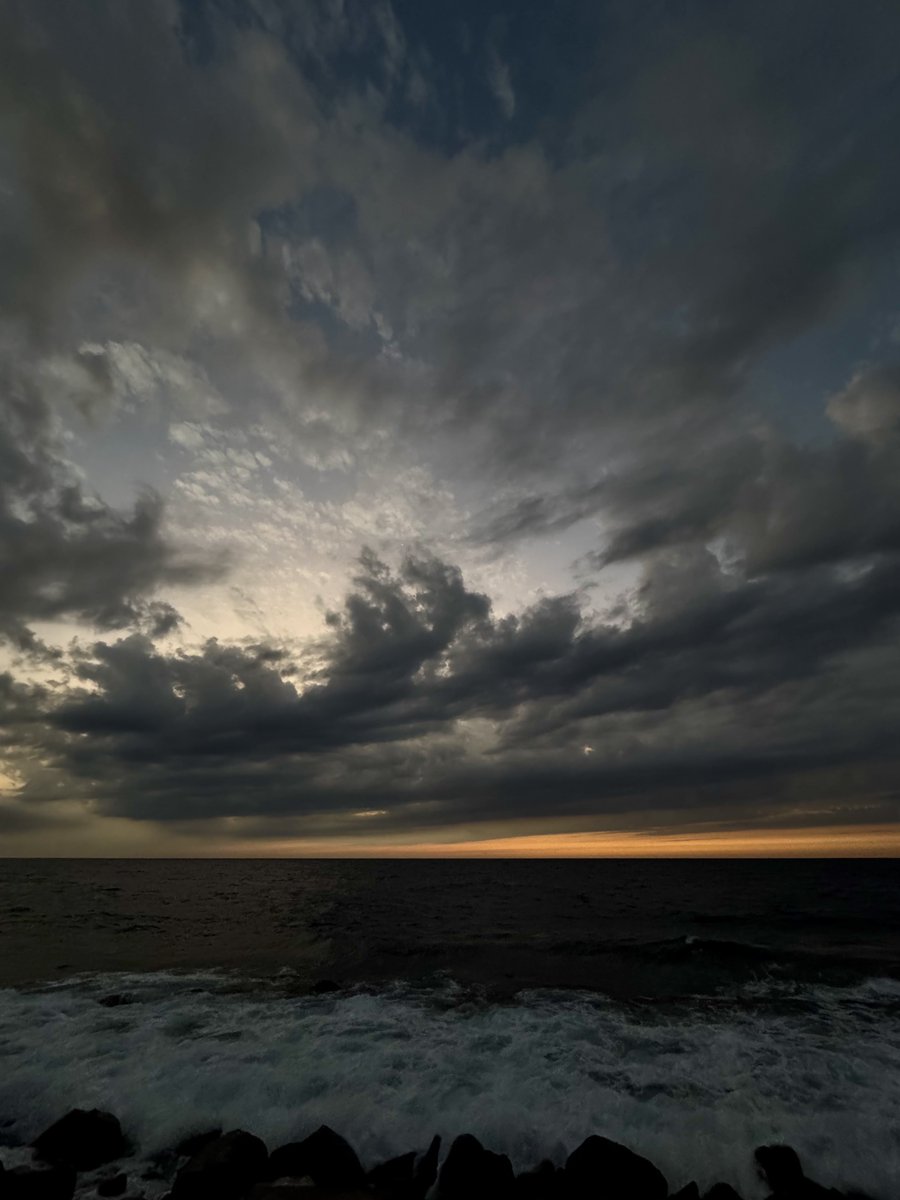 apricity tweet media