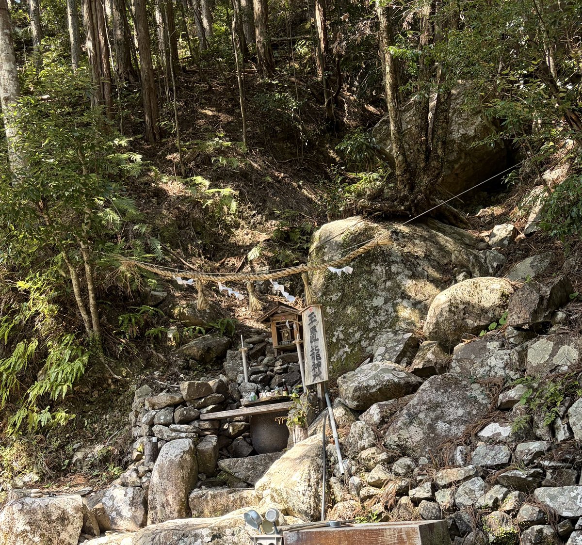 Jelia@✈️🎹♨️🐱☕️🥐🇩🇪🇪🇸好き tweet media