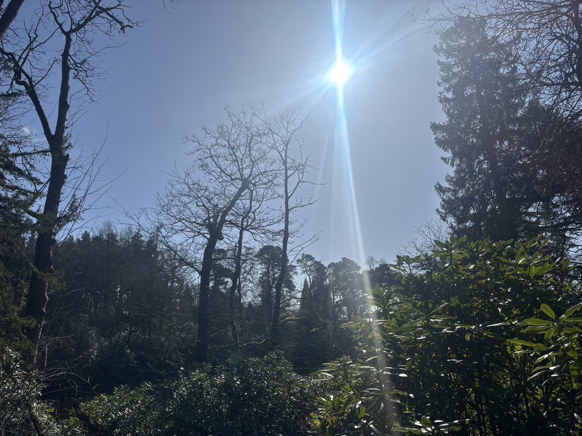 Will Clapp tweet media