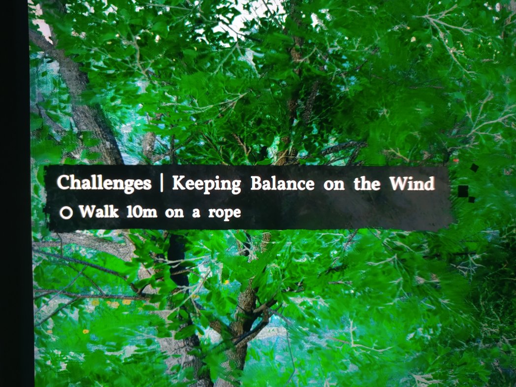 Copacolondrios ❄️ tweet media