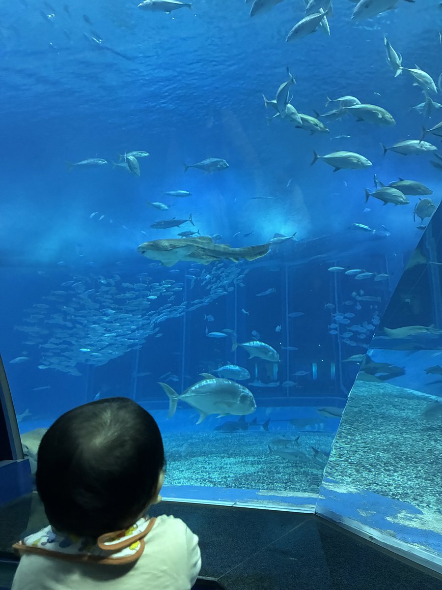 Taiga Kunishima tweet media