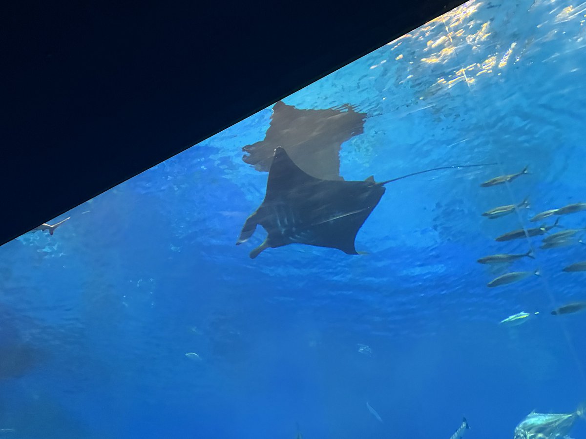 Taiga Kunishima tweet media