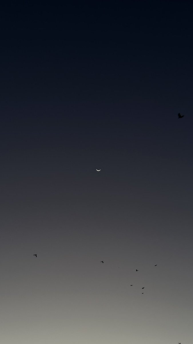 fernando tweet media