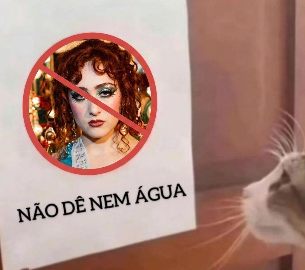 lala. ⸆⸉ tweet media