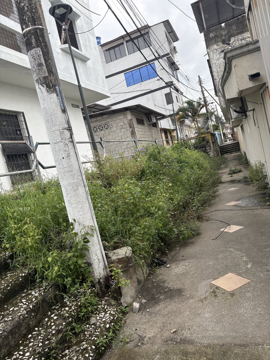 Karen Rosado tweet media