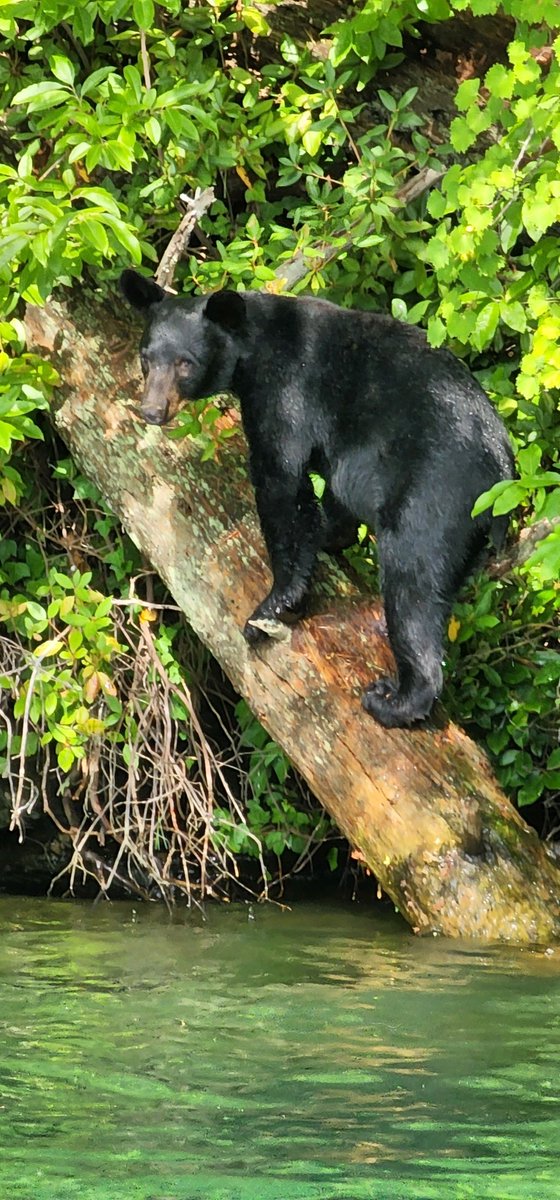 Patsy Martin tweet media