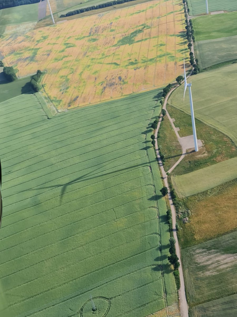 arszczecin 🇵🇱 tweet media