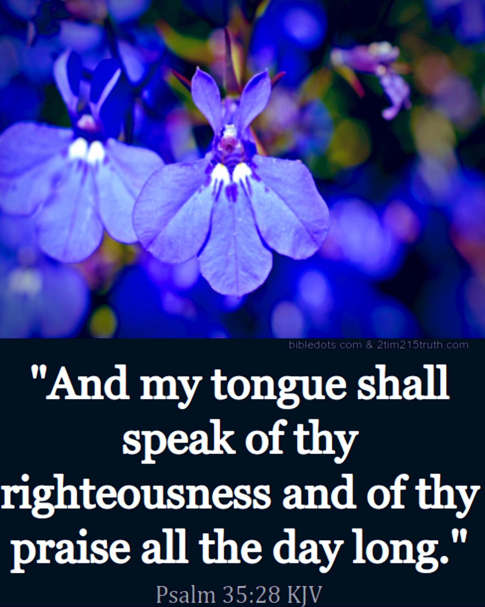 Saltlife1👠 tweet media