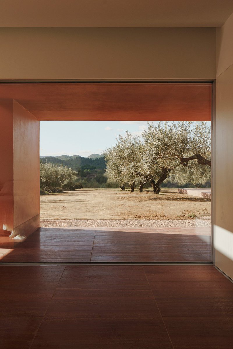 Manuel Revilla tweet media