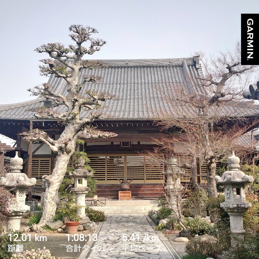 ﾕｰｷ.ｱｵﾔﾏ🐝BPMﾏｲｽﾀｰ tweet media