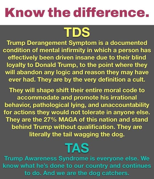 Linus Fan tweet media