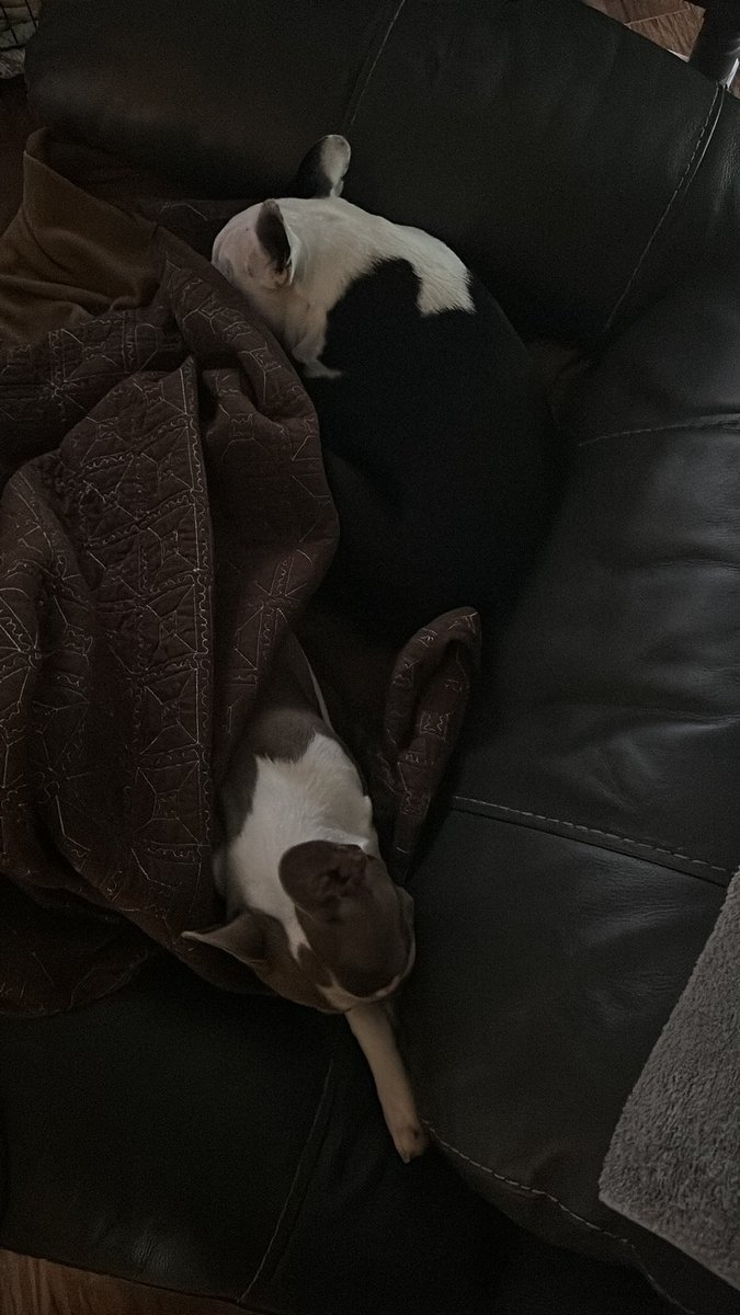 Just Evan™ tweet media