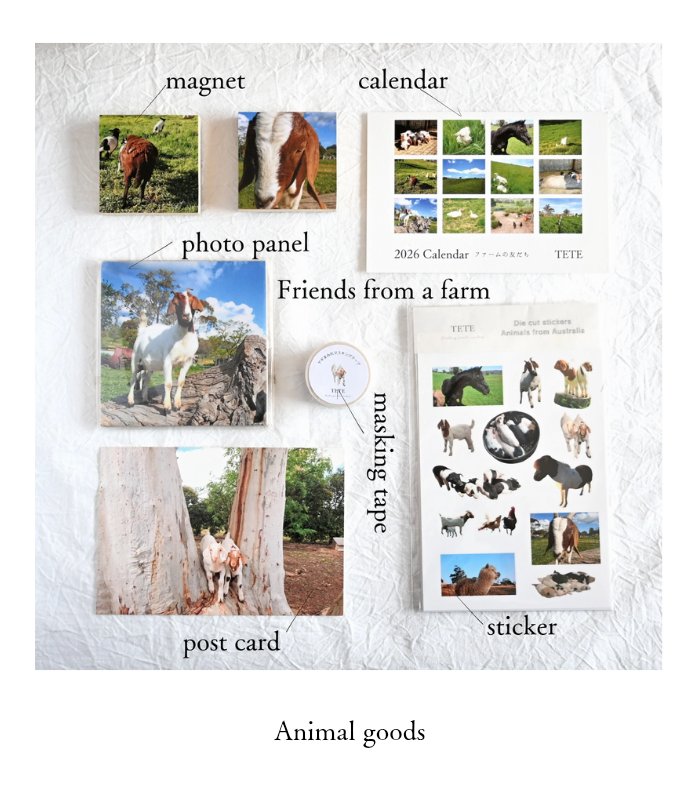 TETE｜4/5アニマーレ E-20 tweet media