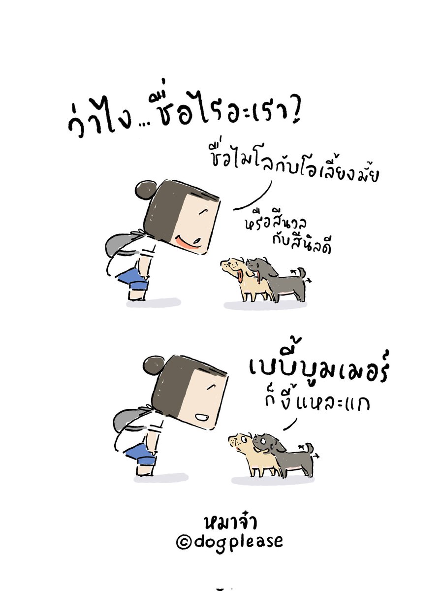 หมาจ๋า tweet media