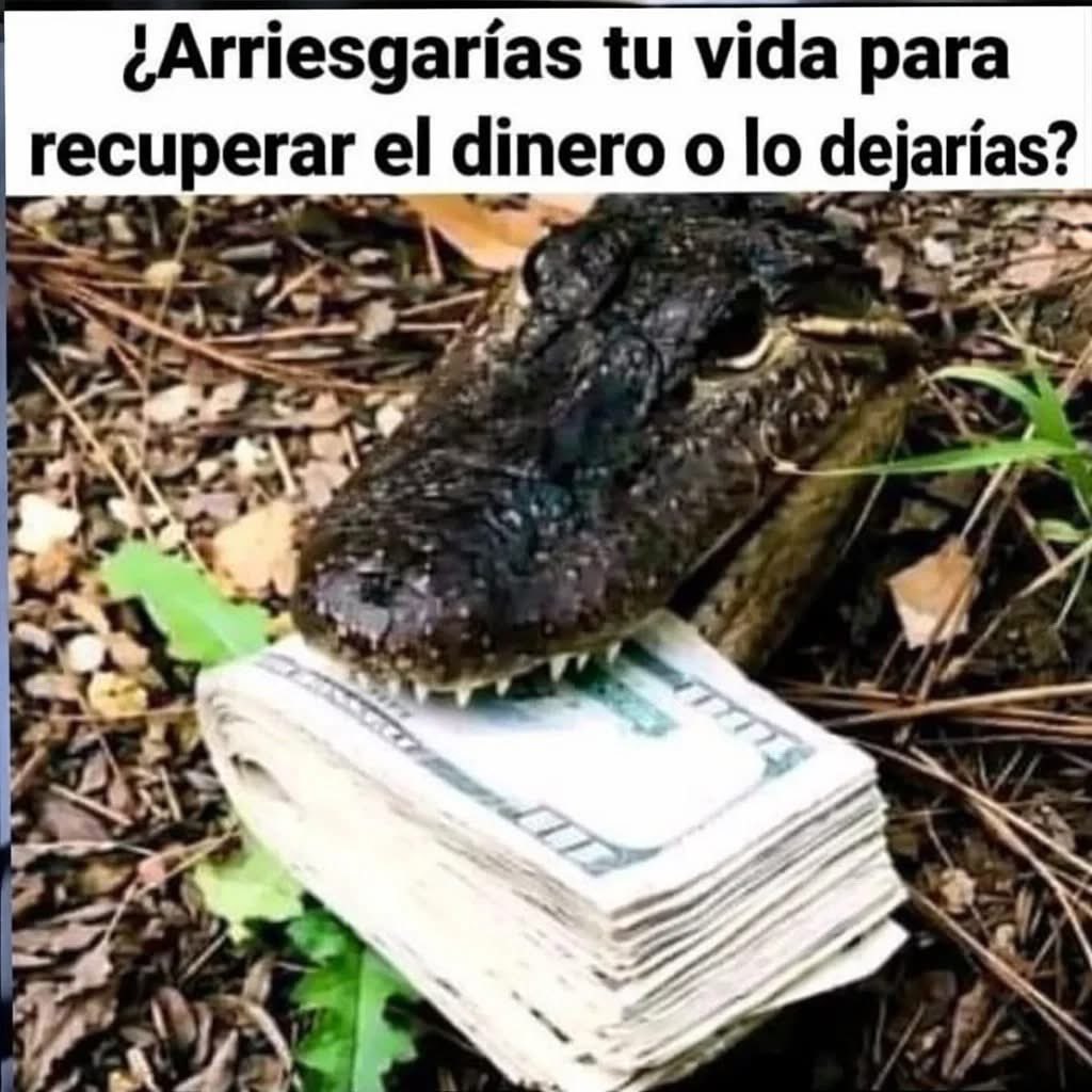 Diego Prieto✈️ tweet media