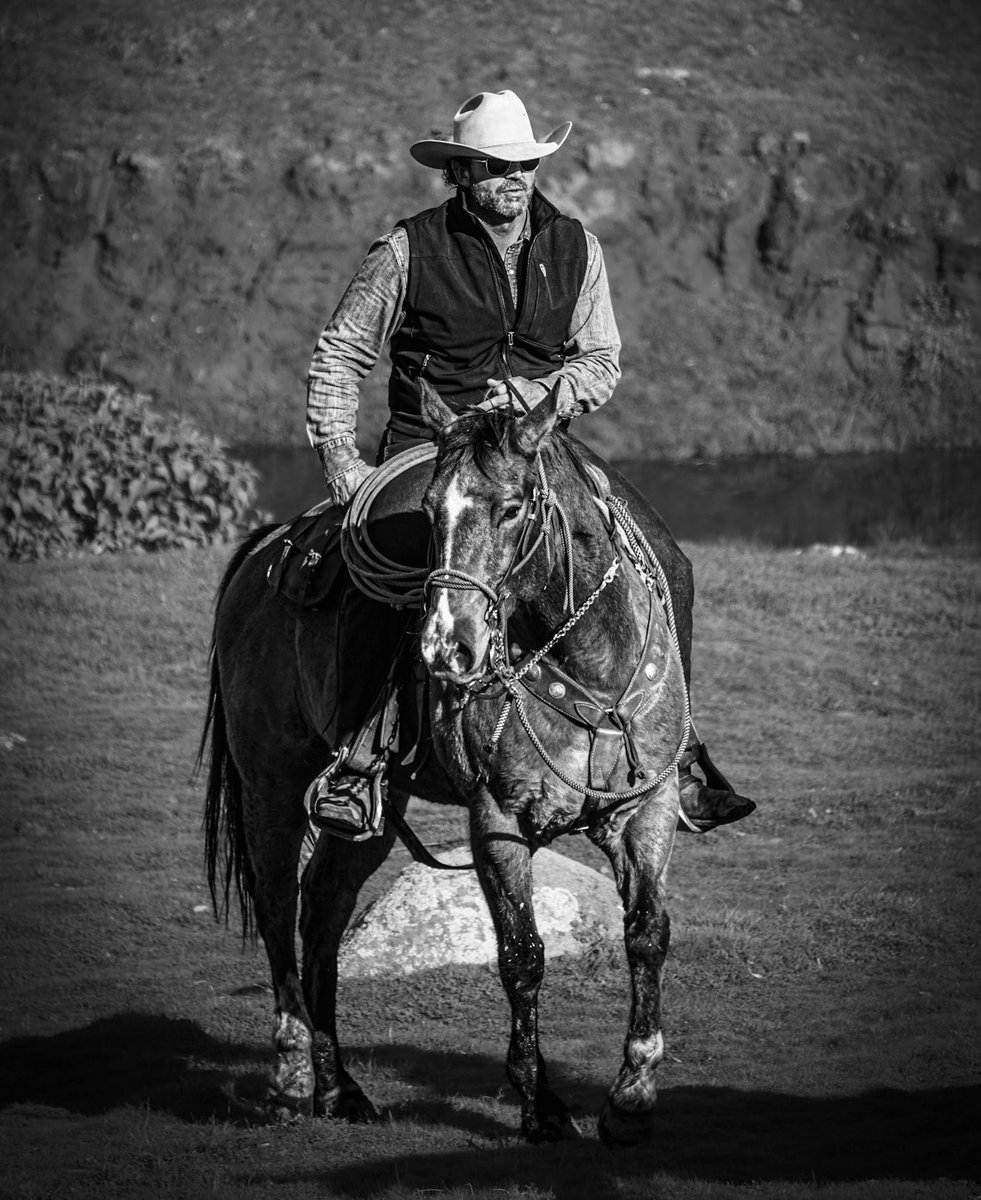 Melissa O'Connor tweet media