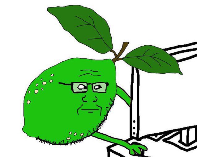 Mr.Bombastic tweet media