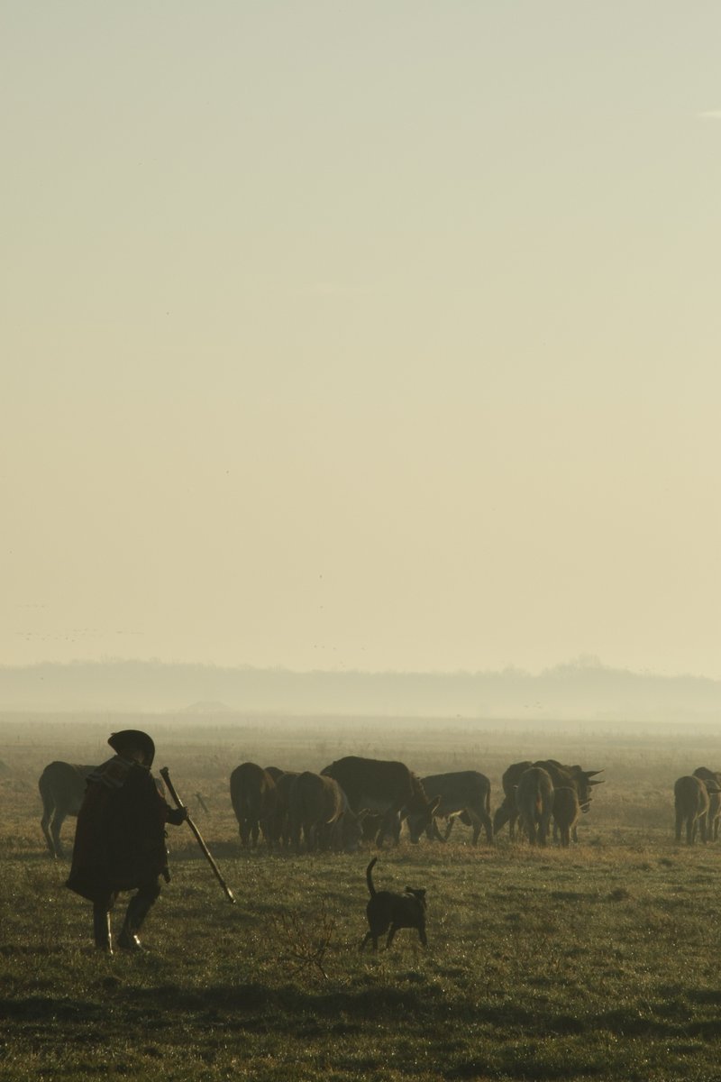 阪口　克 tweet media