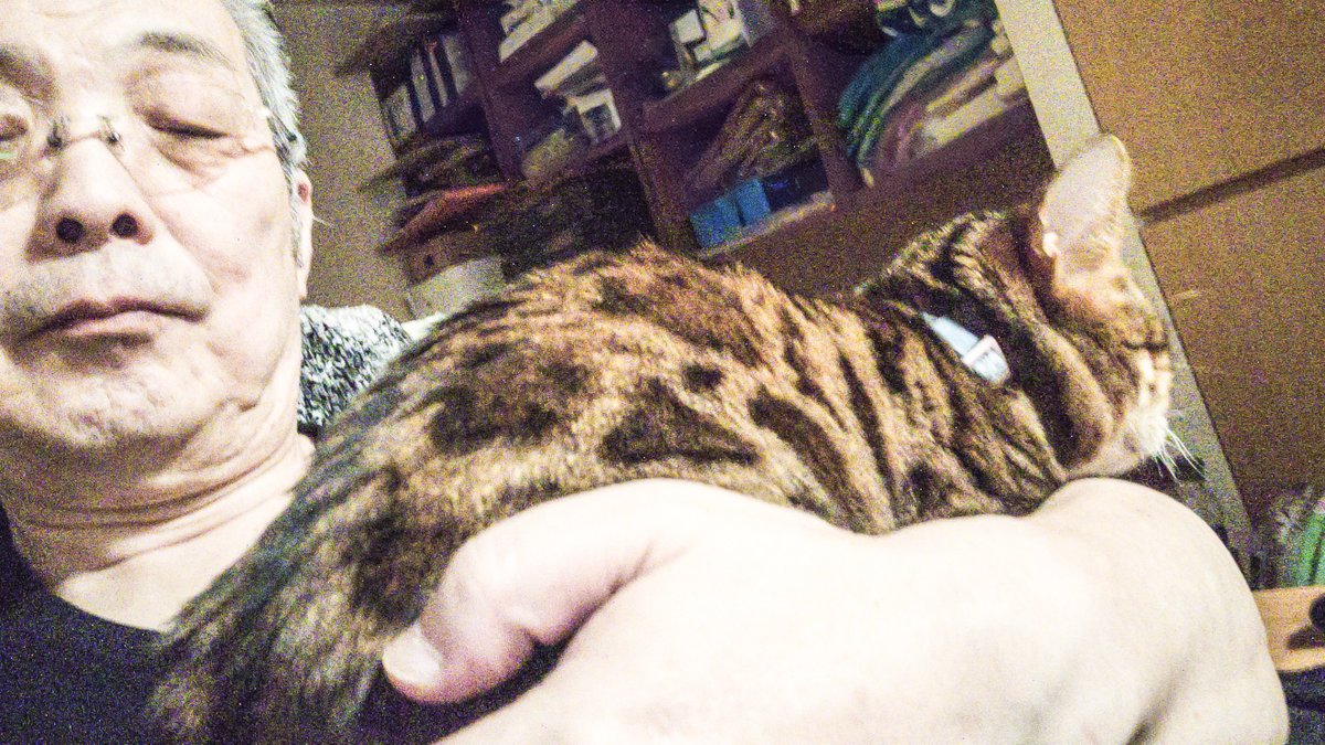 walker_sapporo's tweet image. 昨日の格言
　「腹をたつるは道にあらず。」
　　　　山岡鉄舟

＃札幌観光ガイドの会　＃salamander

昨年の4月に6歳の彼女はやって来た。
「抱っこは無理」と、それから331日目
ふと、気づけば向こうからやって来た。
彼女に教えられたことです。

sapporowalk.info