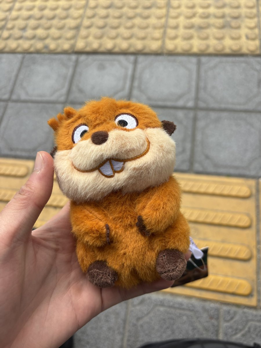 스위트무지 tweet media