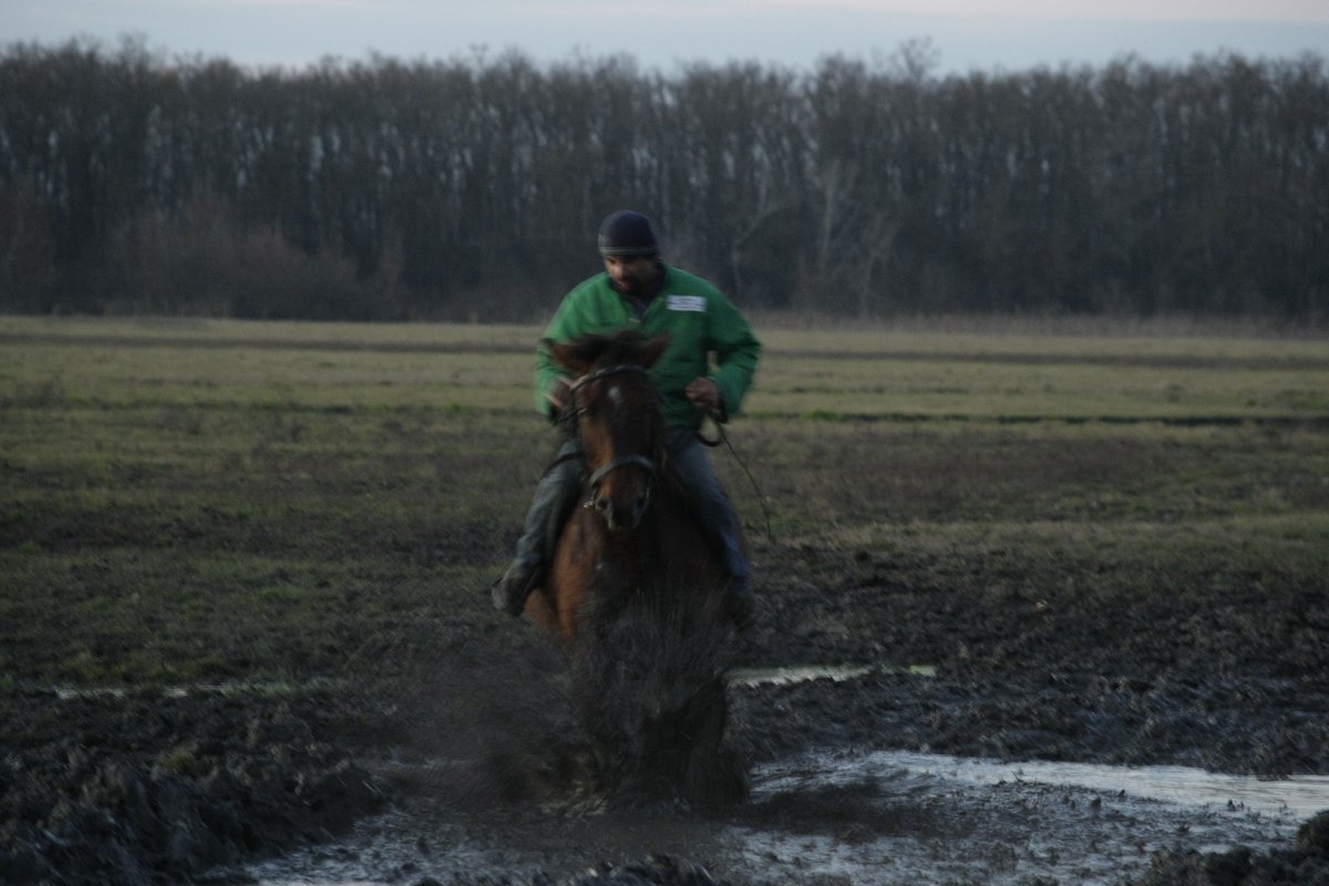 阪口　克 tweet media