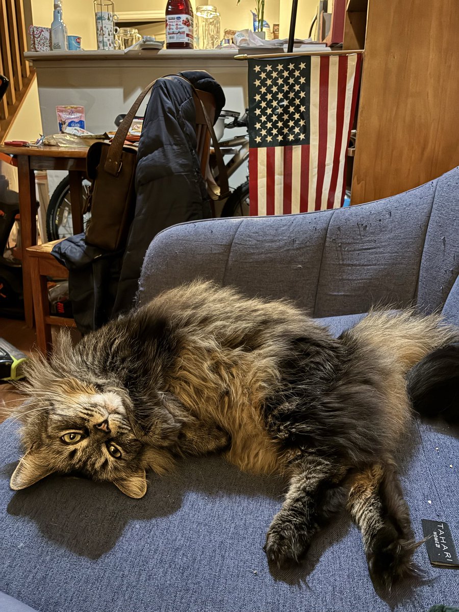 Allie Frazier ♥️ 🇺🇦 tweet media